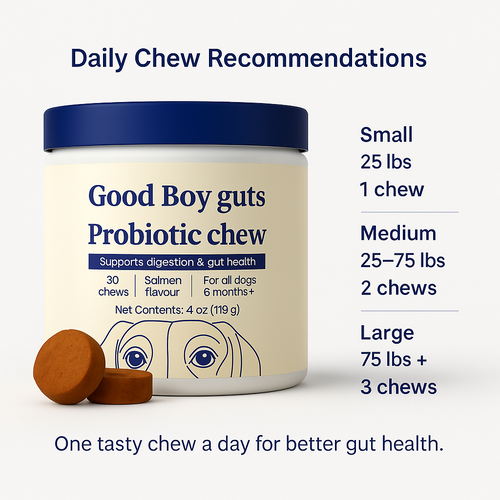Premium Probiotic - Gut & Digestive Health