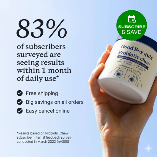 Premium Probiotic - Gut & Digestive Health