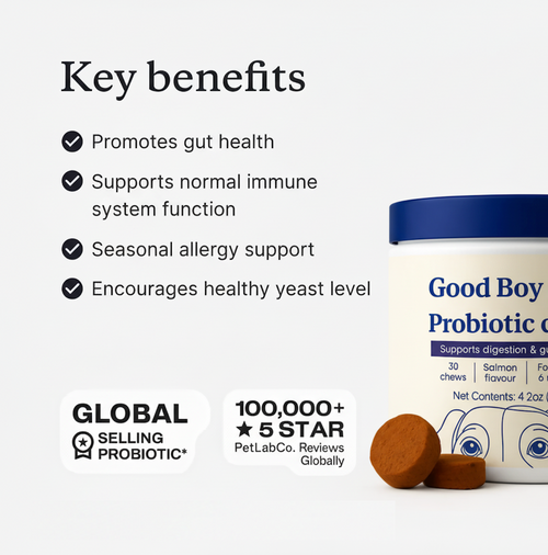 Premium Probiotic - Gut & Digestive Health