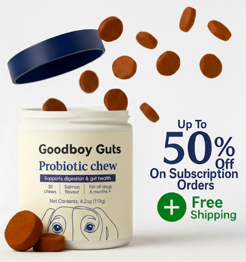 Premium Probiotic - Gut & Digestive Health