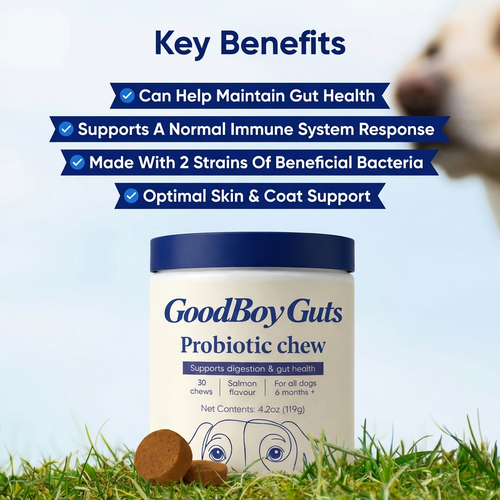 Premium Probiotic - Gut & Digestive Health